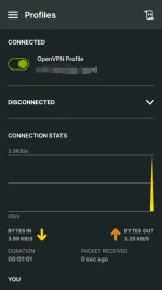 Screenshot_20230710-154437_OpenVPN Connect.webp