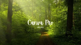 Cánvá ρrø poster.webp
