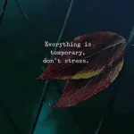1689546294002.webp