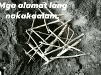 1689680149754.webp