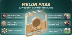 MP_infographic_New_X2_4_2.webp MP_infographic_New_X2_4_2.webp