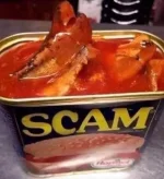 362987781_10162821131838957_7608256689487560672_n.webp