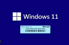 w11.png