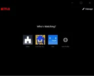 netflix.webp