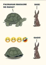FB_IMG_1690637612203.webp