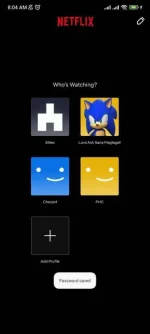 Screenshot_2023-07-30-08-04-48-527_com.netflix.mediaclient.webp