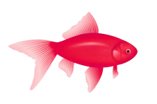 1690694410390.webp