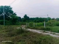 1690860947470.webp
