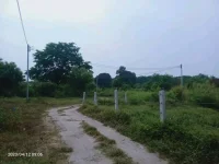 1690860945581.webp