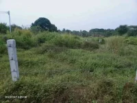 1690860943806.webp