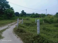 1690860942026.webp