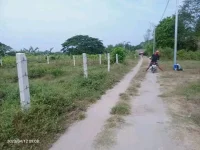 1690860939471.webp