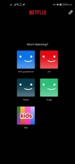 Screenshot_20230803_184618_com.netflix.mediaclient.webp