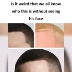 365432329_812773740313151_8752532475585156934_n.webp