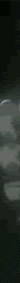 ezgif.com-crop (6).gif