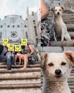 366357240_687923393377700_1922573905084890098_n.webp