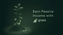 1691559284622.webp