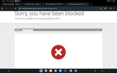 Screenshot_20230810_101912_Chrome.webp Screenshot_20230810_101912_Chrome.webp
