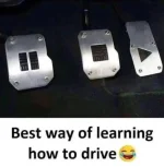 366361752_6915043515174369_1479437126555615560_n.webp