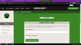 mcfs.webp