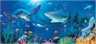 sea-life.jpg sea-life.jpg