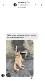 1691679527443.png