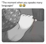 366714977_689780436525329_3735820902294312292_n.webp