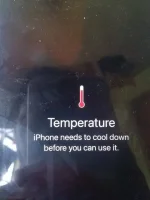 16918052170250.6215240438643244.webp