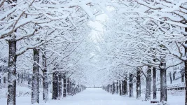 winter-001-1.webp