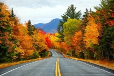 iStock-841380450.webp