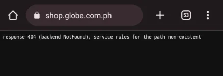 Screenshot_20230813-131512_Chrome.png