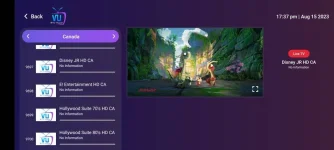 Screenshot_20230815_173728_iptv.player.pro.jpg