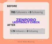 Zenporo's social media boosting service (48).webp