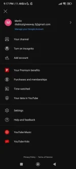 Screenshot_2023-08-17-21-17-33-842_com.google.android.YøùTùbé.webp