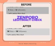 Zenporo's social media boosting service (53).webp