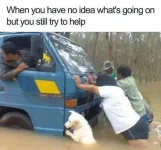 368655782_693697559466950_3233120888627492777_n.webp