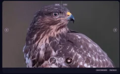 1692340758577.png 1692340758577.png