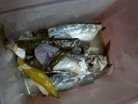IMG20230823130012.jpg