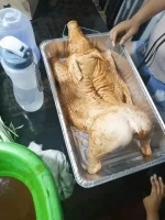 1692850969850.webp