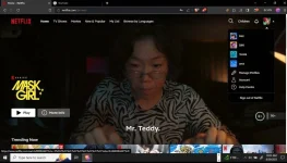 n11.webp