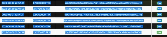 4.webp