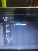 16936181342127242669185200840686.webp