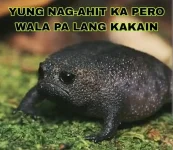 1693838502584.webp