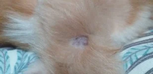 20230904_162506.webp