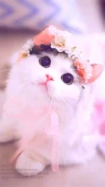images (1).webp