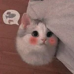 ea0bbe4304bc0b26cb8d2cff2ba22c40.webp