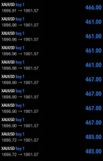 367024277_175295222238645_708448855979493552_n.jpg