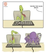 373534762_1044731243637056_7581262317236633574_n.webp