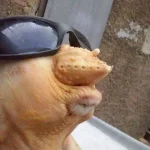 1693996418754.webp