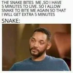 snake meme.webp